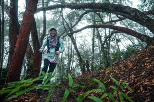 BIB: 
                            <button type="button" onclick="openModal(26343889)" class="btn btn-primary btn-sm float-right btn-popup" data-toggle="modal" data-target=".modal-high-quality">
                        <i class="fas fa-shopping-cart"></i> Add to Cart
                    </button>
                                            <button type="button" onclick="isThisMe(26343889, true)" class="btn btn-success btn-sm float-right btn-popup btn-isme hidden" data-toggle="tooltip" data-placement="bottom" title="นี่คือรูปของคุณใช่ไหม คลิกที่นี่เพื่อเอาเข้าอัลบั้ม">
                        <i class="fas fa-plus"></i> Add to album
                    </button>
                    <button type="button" onclick="isThisMe(26343889, false)" class="btn btn-warning btn-sm float-right btn-popup btn-isnotme hidden">
                        <i class="fas fa-ban"></i> Remove from album
                    </button>